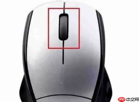 谷歌浏览器怎么设置打开一个书签时打开新页面？设置打开一个书签时打开新页面图文教程