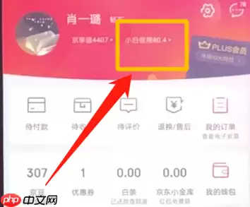 在京东里怎么提升小白信用？小白信用提升方式详解