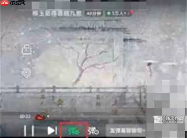 《爱奇艺》弹幕开关键位置一览