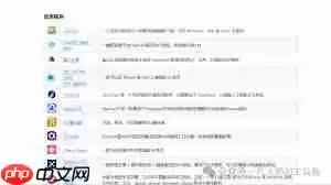 WPS怎样通过接入满血DeepSeek实现无需本地部署开启高效办公