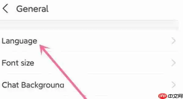 支付宝怎么切换语言系统