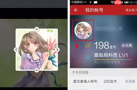 网易新闻APP怎么重新设置头像？重新设置头像的方法介绍