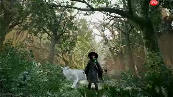 宝可梦开发商公布新作《轮回之兽》 2026年正式发售