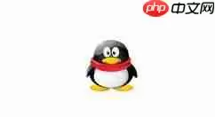 QQ如何设置头像？QQ设置头像流程说明