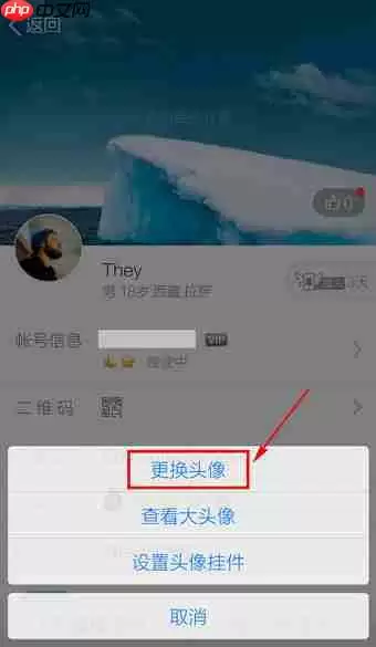 QQ如何设置头像？QQ设置头像流程说明