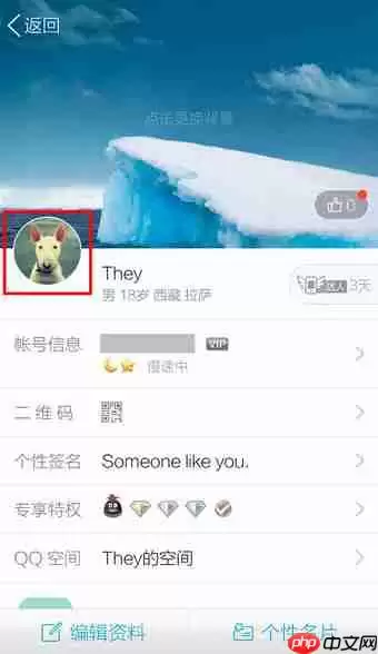 QQ如何设置头像?QQ设置头像流程说明