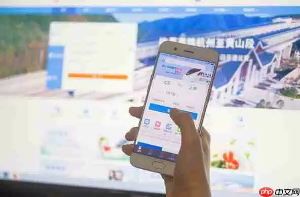 12306什么时候放票