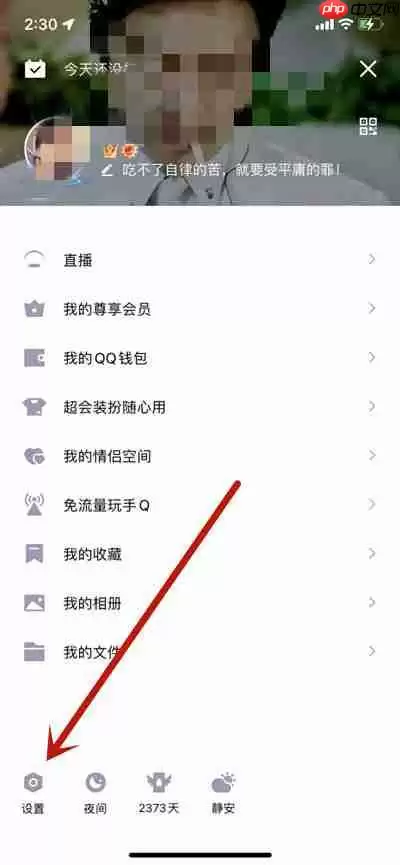腾讯QQ怎么展示荣耀摘星手标识