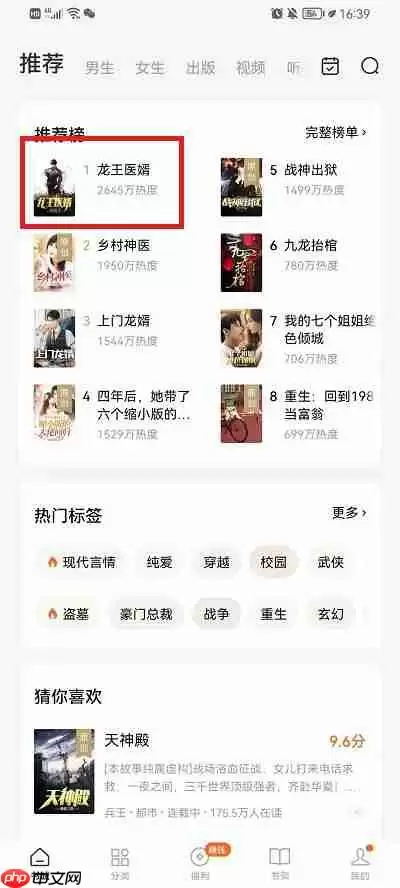 番茄小说怎么看目录