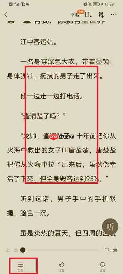 番茄小说怎么看目录