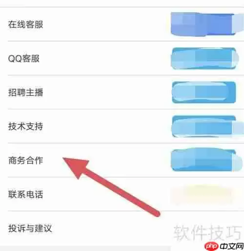 95星秀商务合作查看方法
