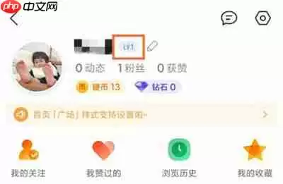 QQ看点怎么查看等级