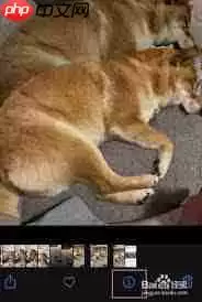 如何查看iphone别人照片拍摄时间