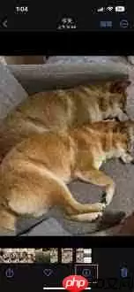 如何查看iphone别人照片拍摄时间