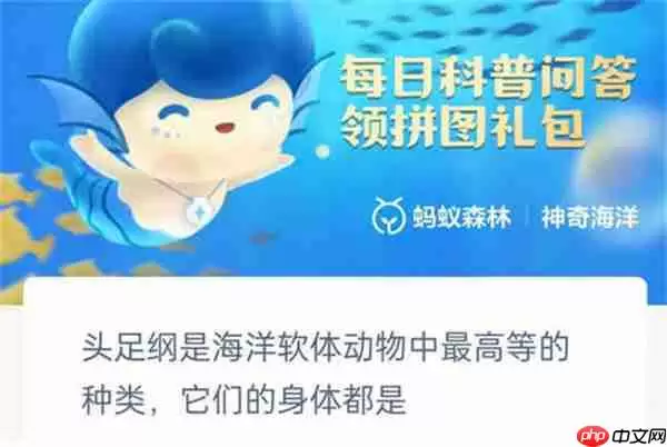 支付宝神奇海洋头足纲是海洋软体动物它们身体都是什么
