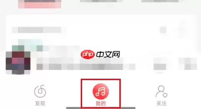 网易云音乐怎么定制乐迷牌?网易云音乐定制乐迷牌教程