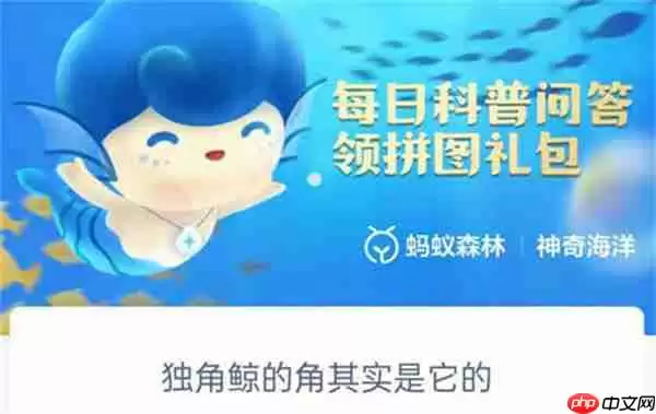 支付宝神奇海洋独角鲸的角其实是什么