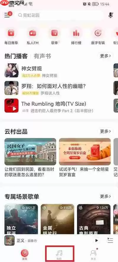 网易云音乐村民证在哪里