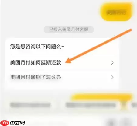 美团延期还款怎么办理