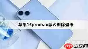 苹果15promax怎么删除壁纸
