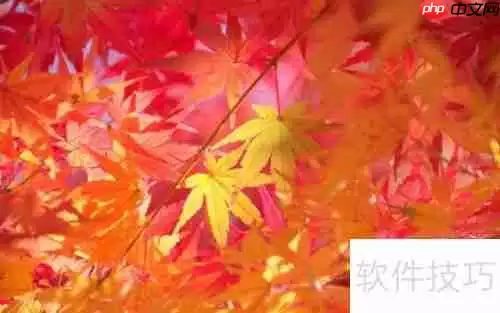 提升效率:微商必备订单处理软件推荐