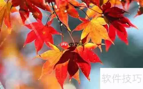 提升效率:微商必备订单处理软件推荐