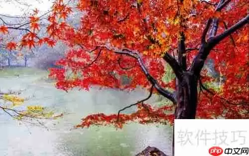 提升效率:微商必备订单处理软件推荐