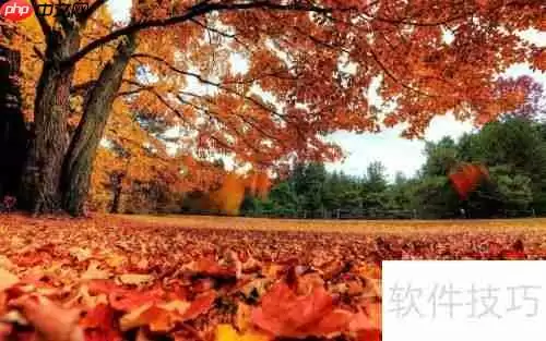 提升效率:微商必备订单处理软件推荐