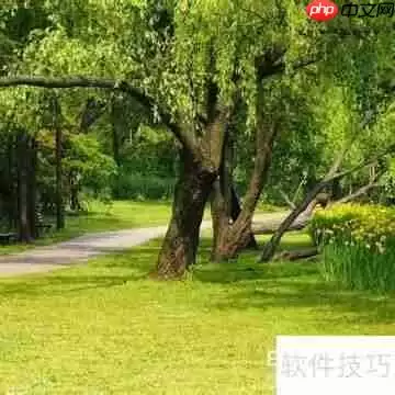 打造健美身心:从锻炼到心态全面提升