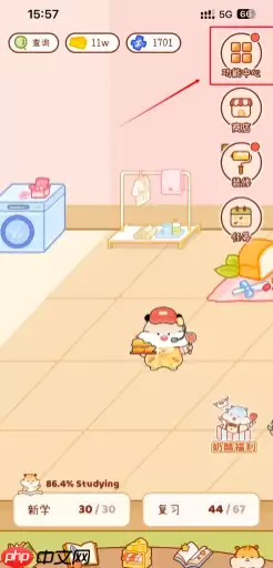 奶酪单词怎么抽盲盒 奶酪单词怎么抽到sss级盲盒