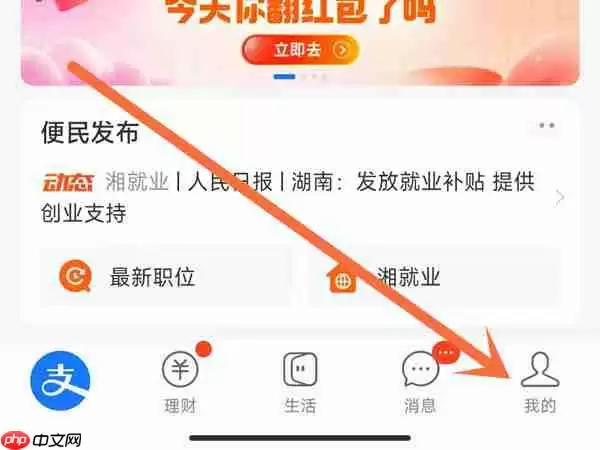 支付宝付款记录怎么查