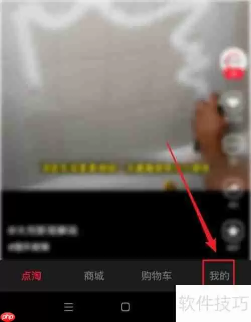 点淘订单查看路径指南