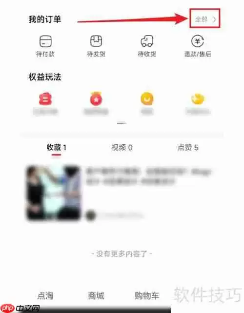 点淘订单查看路径指南