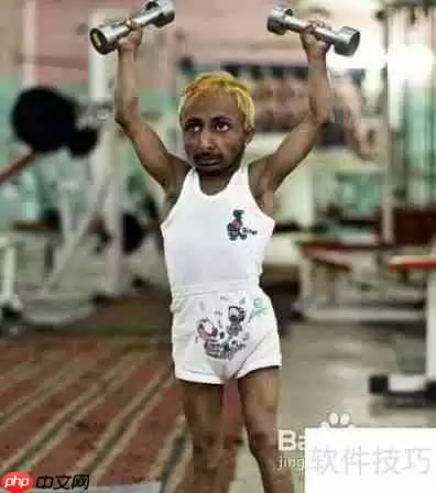 新手健美营养指南：打造完美肌肉的秘密武器