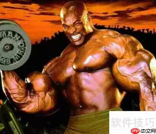 新手健美营养指南：打造完美肌肉的秘密武器