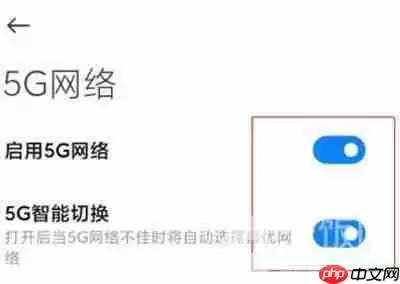 小米11怎么开启5G网络