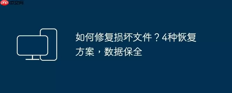 如何修复损坏文件？4种恢复方案，数据保全