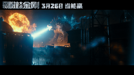 《哥斯拉大战金刚》观影热情