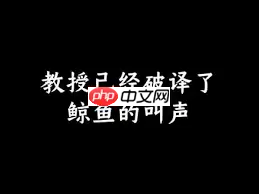 抖音万事万物正在苏醒到底是什么梗