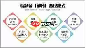 视频号做什么内容能快速变现