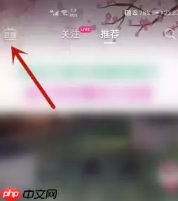 抖音清屏功能如何使用