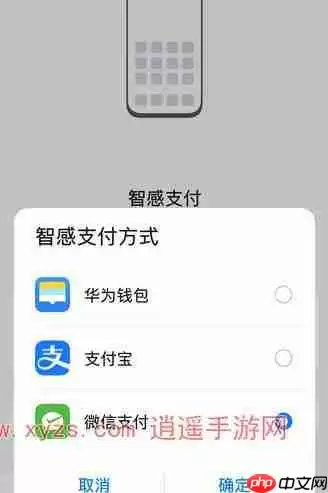华为扫码自动弹出支付码怎么设置