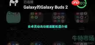 适配iPhone14pro系列灵动岛的软件有哪些