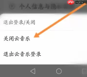 网易云音乐怎样关闭云音乐？网易云音乐关闭云音乐的详细步骤
