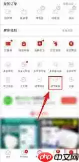拼多多如何查看先用后付额度