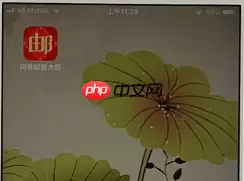 网易邮箱APP怎么解绑手机号？解绑手机号的方法介绍