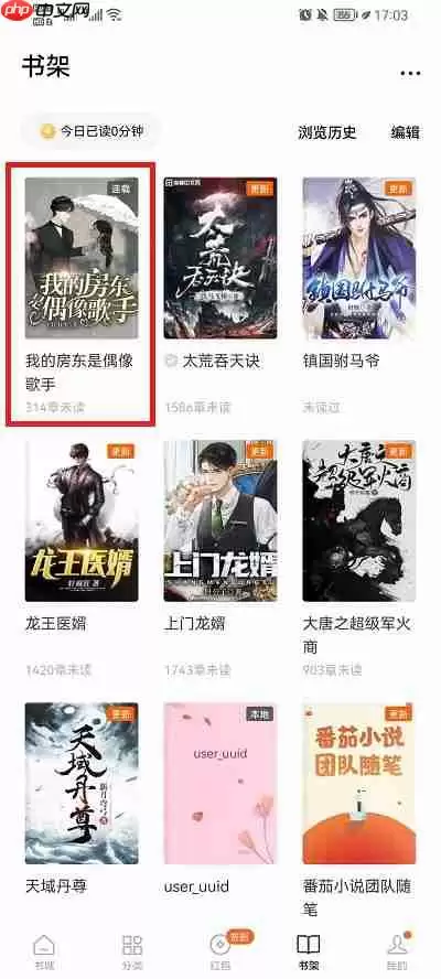 番茄小说加入书架的书怎么看简介