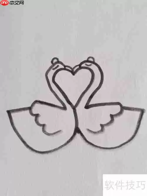 如何快速掌握天鹅简笔画技巧？