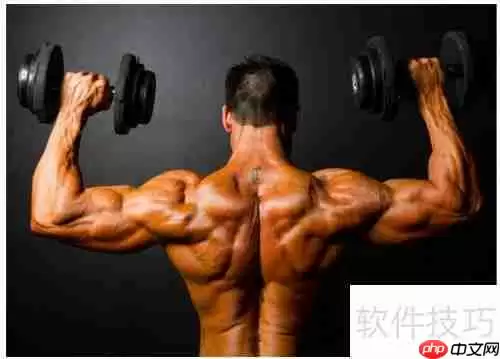 健身健美:打造完美体型的科学方法