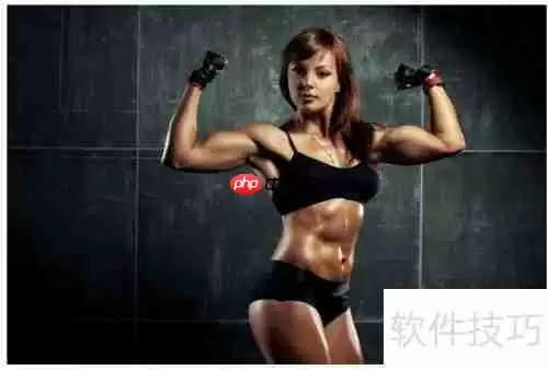 健身健美:打造完美体型的科学方法